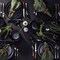 Matte Black Stoneware 16-Piece Dinnerware Set Hand-Painted Dishwasher Safe